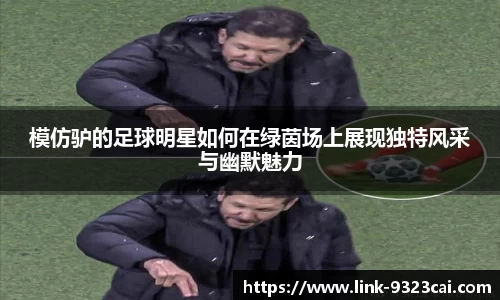 模仿驴的足球明星如何在绿茵场上展现独特风采与幽默魅力