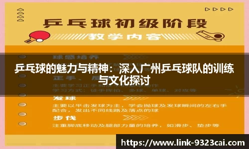 乒乓球的魅力与精神：深入广州乒乓球队的训练与文化探讨